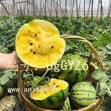 Ļ