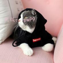 벻