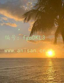 λ